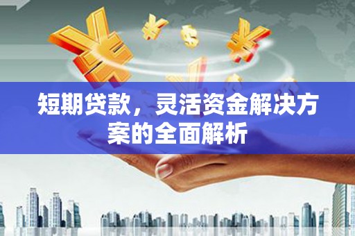 鹤壁短期贷款，灵活资金解决方案的全面解析