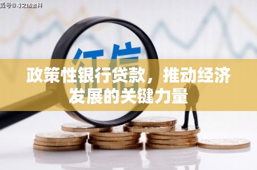 鹤壁政策性银行贷款，推动经济发展的关键力量