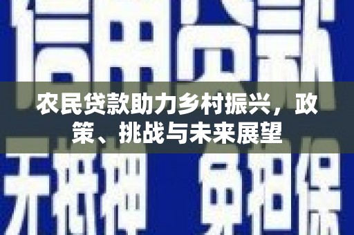 鹤壁农民贷款助力乡村振兴，政策、挑战与未来展望
