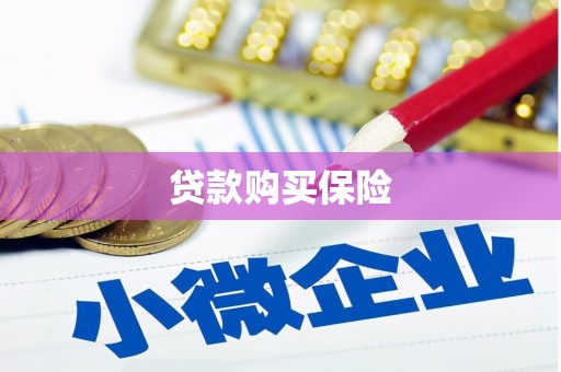 鹤壁贷款购买保险