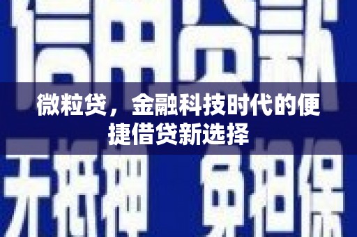鹤壁微粒贷，金融科技时代的便捷借贷新选择