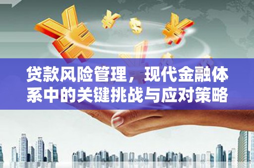 鹤壁贷款风险管理，现代金融体系中的关键挑战与应对策略