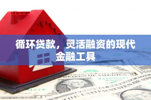 鹤壁循环贷款，灵活融资的现代金融工具