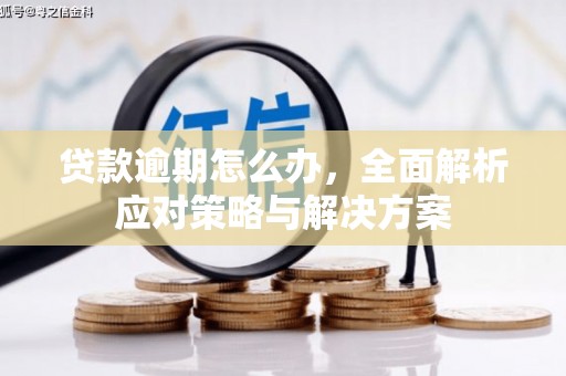 鹤壁贷款逾期怎么办，全面解析应对策略与解决方案